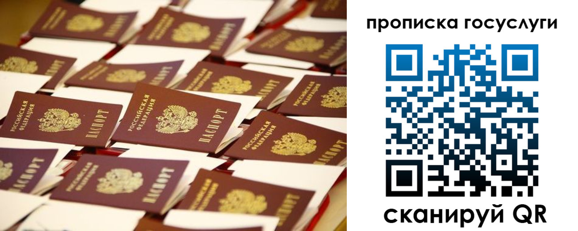 найти адрес прописки в Гаджиево