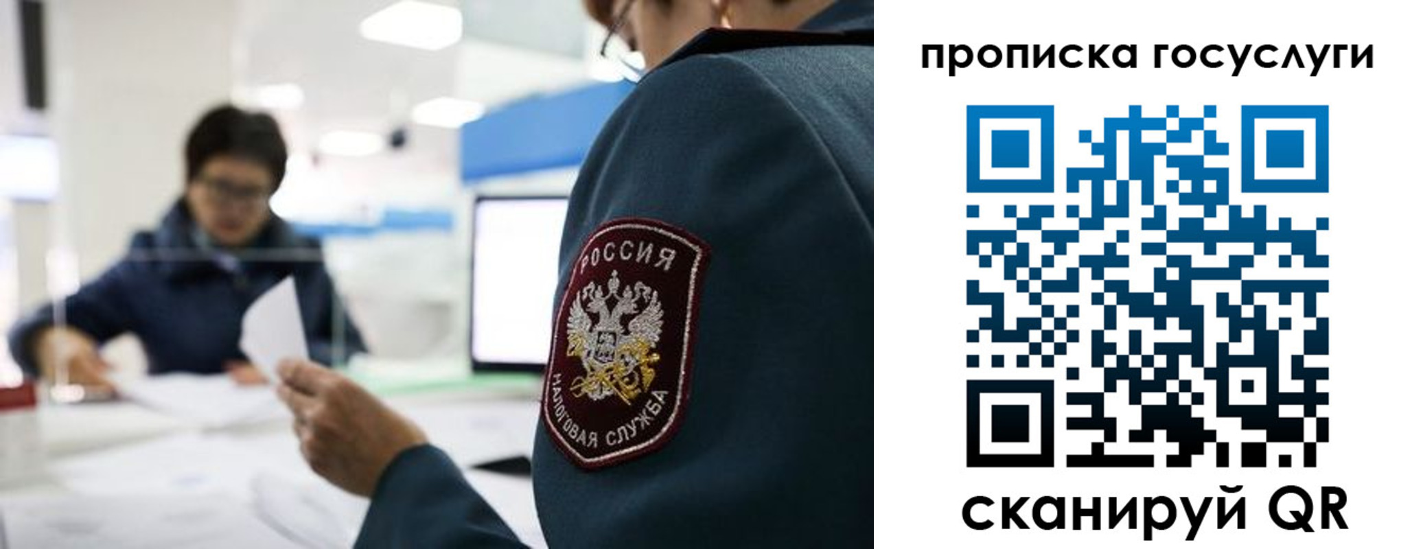 где прописаться в Гаджиево